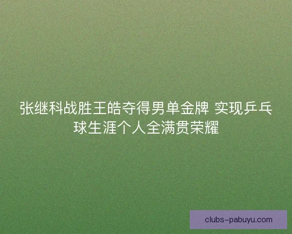 张继科战胜王皓夺得男单金牌 实现乒乓球生涯个人全满贯荣耀