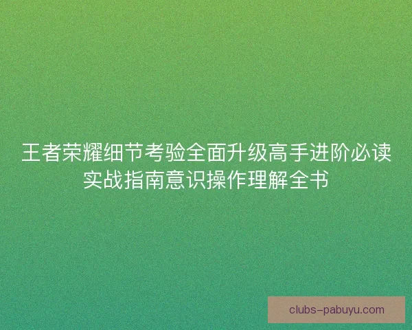 王者荣耀细节考验全面升级高手进阶必读实战指南意识操作理解全书