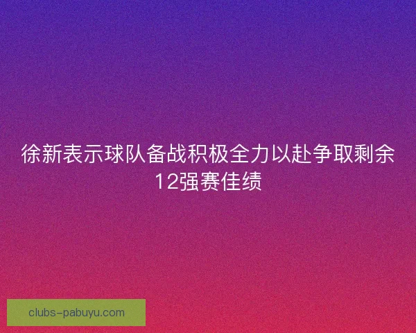 徐新表示球队备战积极全力以赴争取剩余12强赛佳绩